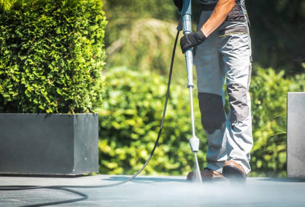 Best Solar Panel Cleaning  in Dilkon, AZ