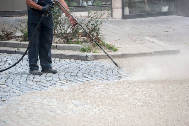 Best Spring Cleaning  in Dilkon, AZ
